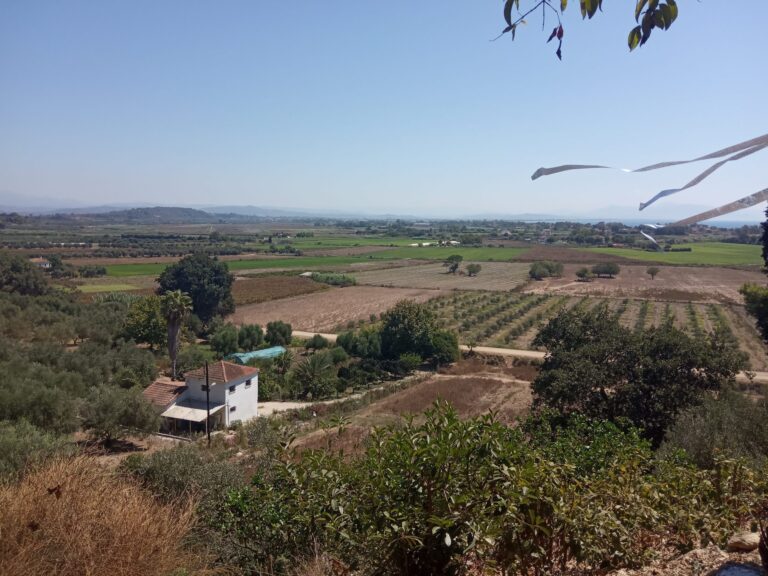 Ο όμορφος κάμπος του Πύργου