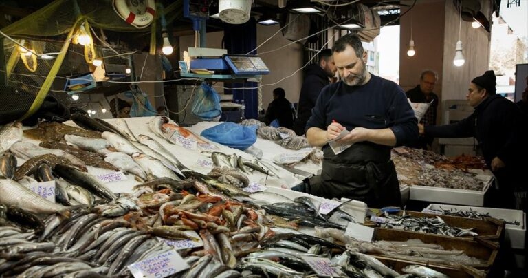 Ιστορικό χαμηλό τιμών σε λαβράκι και τσιπούρα