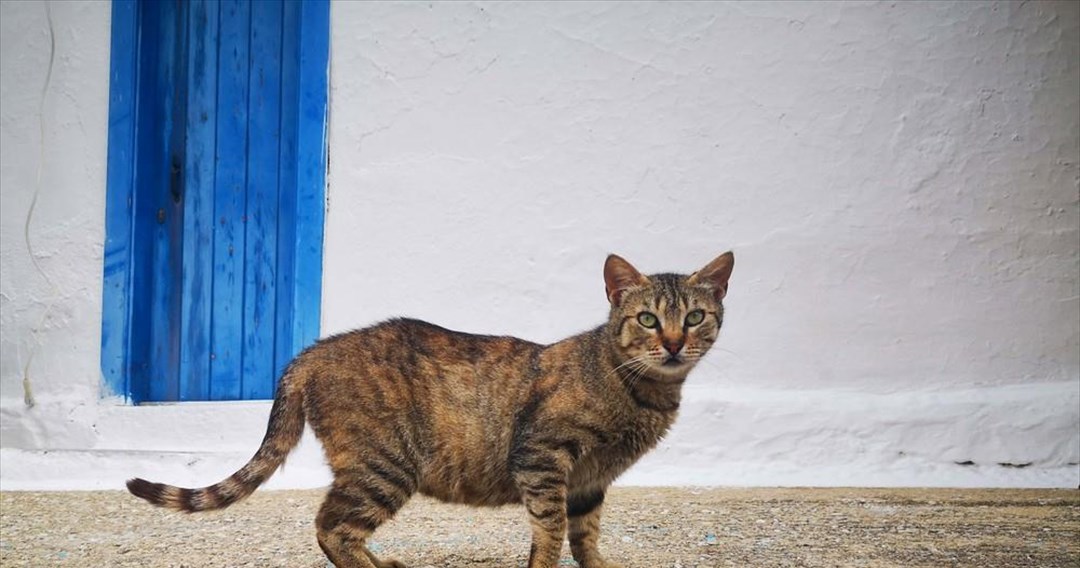 Νέα Υόρκη